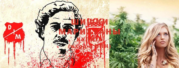 2c-b Михайловка