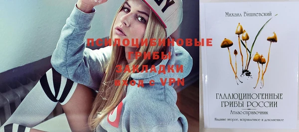 2c-b Михайловка